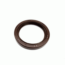 Retentor Dianteiro do Elantra 2.0 16V BL.G4GF