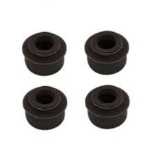 Retentor de Válvulas do Daewoo Espero 2.0 8V BL.C20LE 94/97 GAS