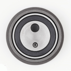 Polia do Tensor do Comando de Valvulas Elantra 1.6 16V BL.G4CR